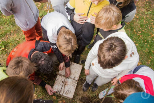 Экшн-игра Спасти Гарри на spb.kvestinfo.ru Экшн-игра Спасти Гарри