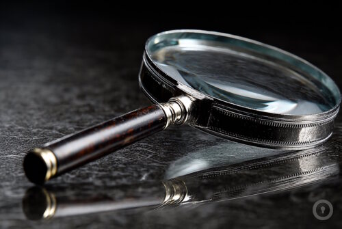 Городской квест Дело животных, или Кто украл питомца аптекаря Пеля