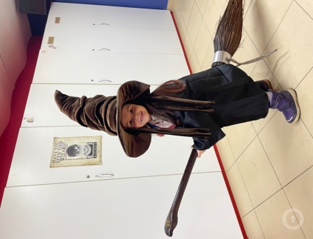 Отзыв на Гарри и тайная комната от Екатерина Дубинова