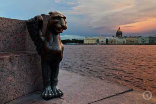 Городской квест Тайны мистического острова